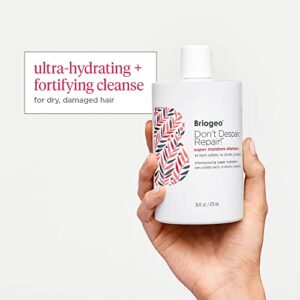 Briogeo Don’t Despair, Repair! Super Moisture Shampoo for Dry Damaged Hair